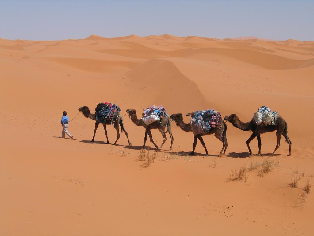 Camel Trek Bivouac Hotel Merzuga Szoba fotó
